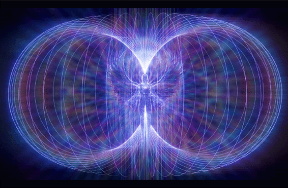 Torus Angel